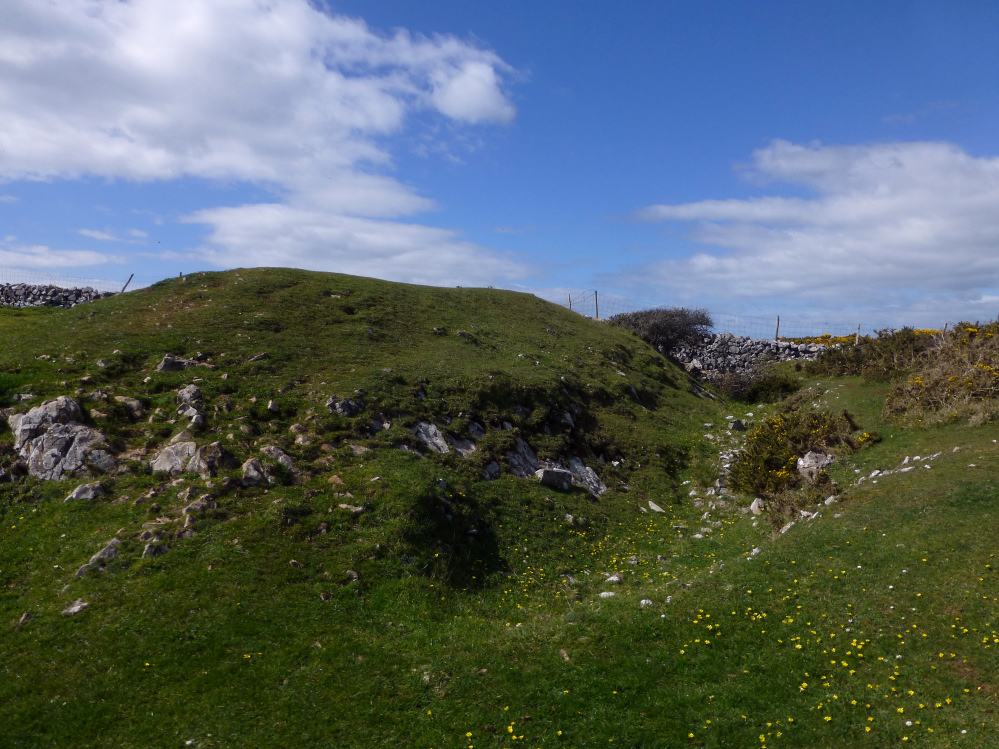 Image of The Knave (Cliff Fort) by thesweetcheat