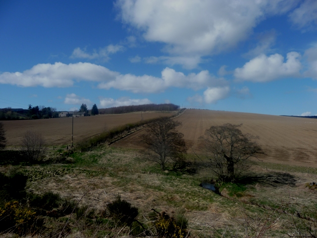 Image of Damil (Hillfort) by drewbhoy