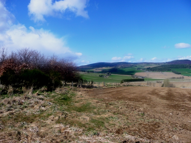 Image of Damil (Hillfort) by drewbhoy