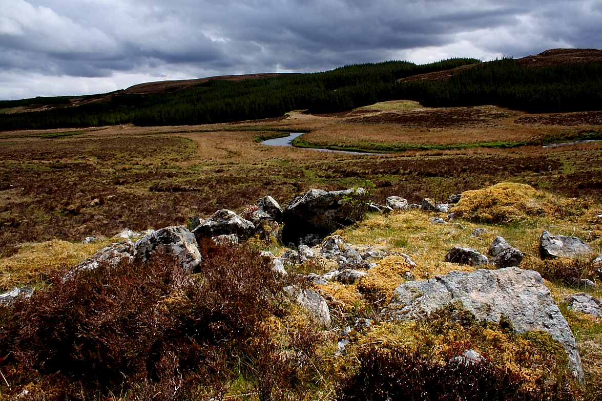 Image of Ledmore (Chambered Cairn) by GLADMAN