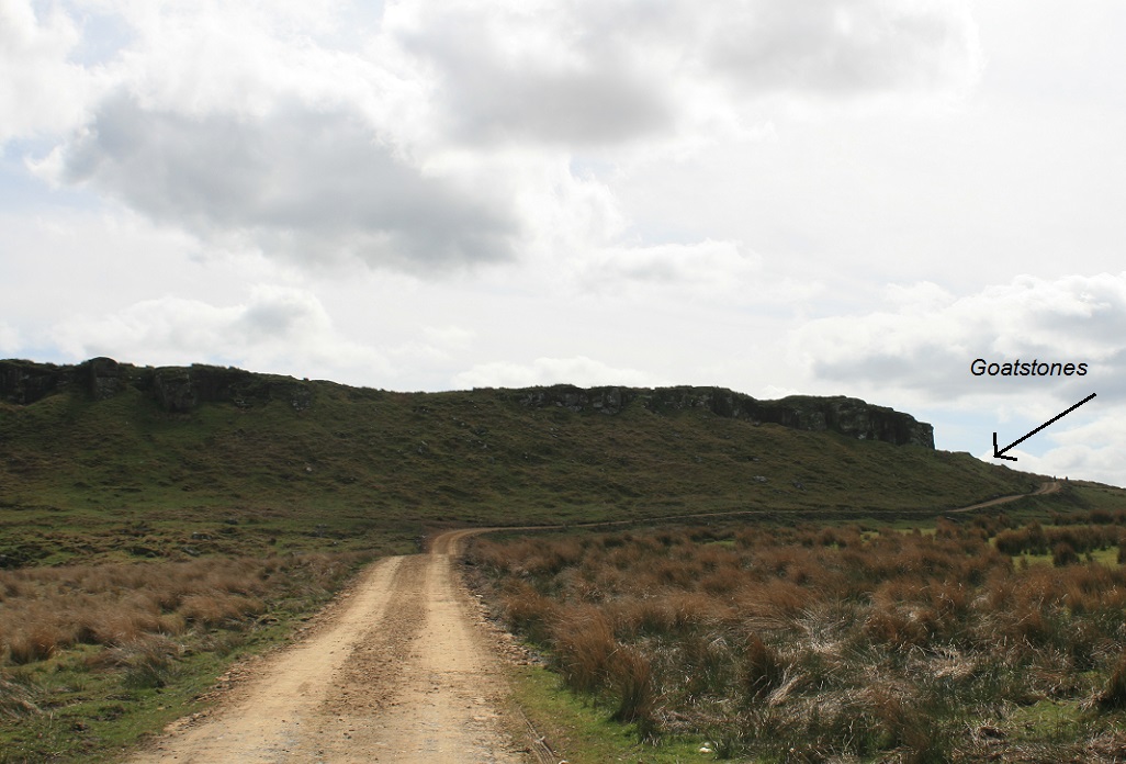 Image of The Goatstones (Stone Circle) by postman