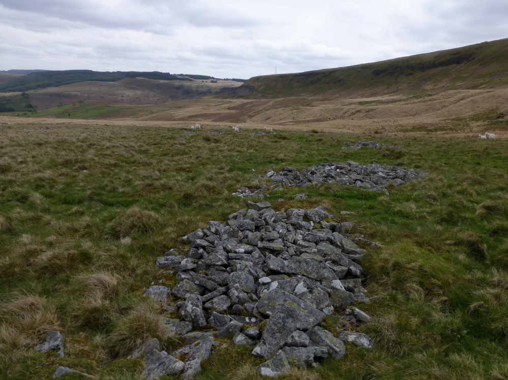Image of Mynydd Cefngyngon (Ancient Village / Settlement / Misc. Earthwork) by thesweetcheat