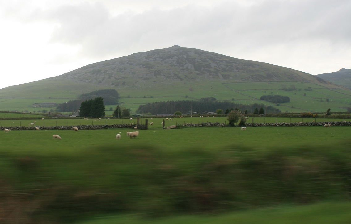 Image of Mynydd Carnguwch (Round Barrow(s)) by postman