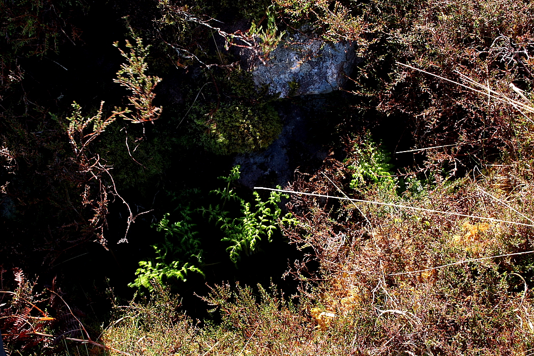 Image of Druim Dubh (Cairn(s)) by GLADMAN