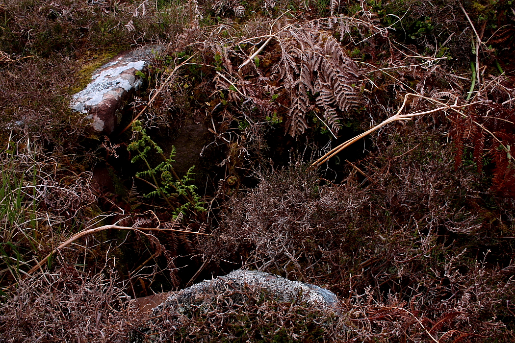 Image of Druim Dubh (Cairn(s)) by GLADMAN