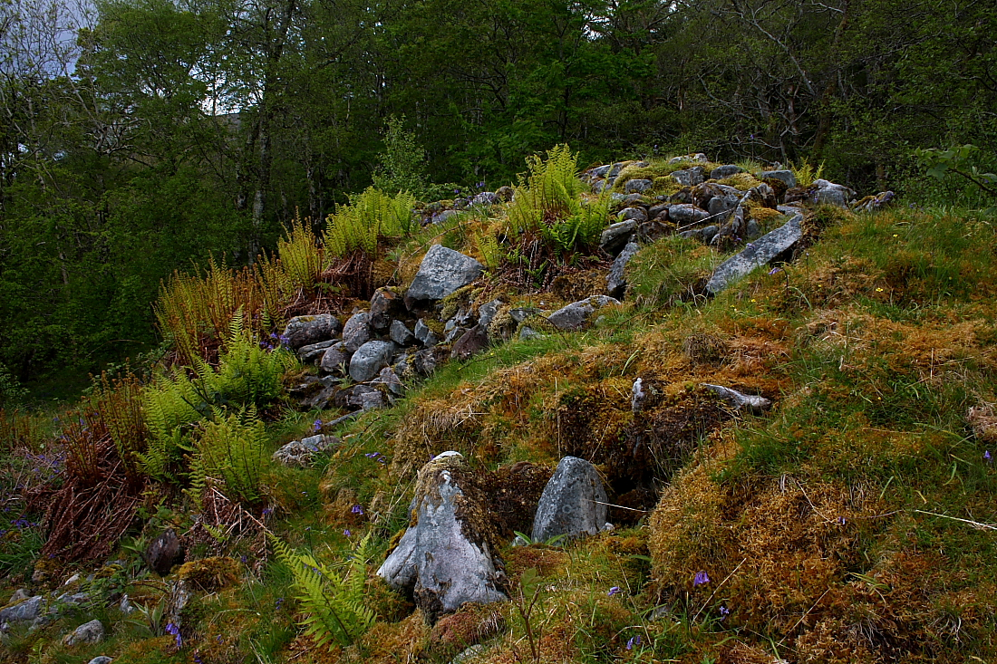 Image of Cnocan Nan Cobhar (Long Cairn) by GLADMAN
