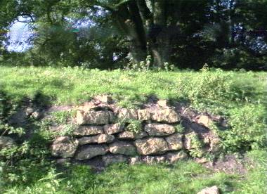 Image of Cadbury Castle (South Cadbury) (Hillfort) by vulcan