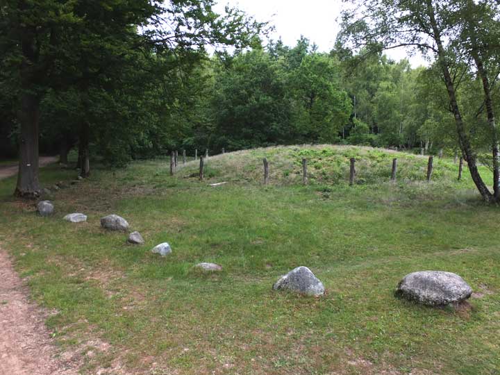 Image of Galgenberg (Sleenerzand) (Round Cairn) by LesHamilton