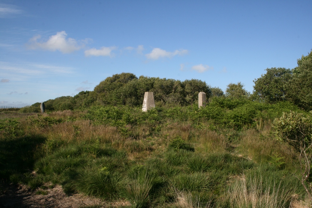 Image of Goonhilly Down (Cairn(s)) by Ravenfeather