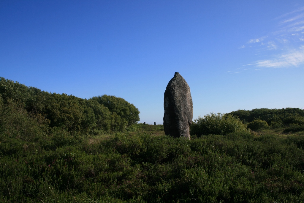 Image of Dry Tree Menhir by Ravenfeather