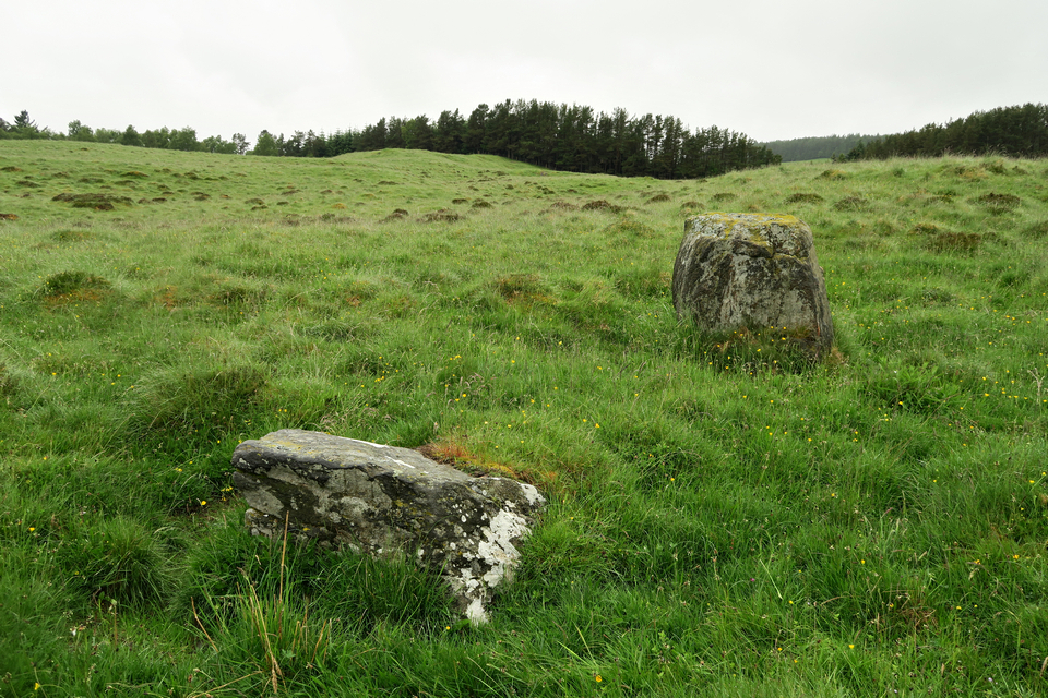 Image of Fincastle Farm (Standing Stones) by thelonious