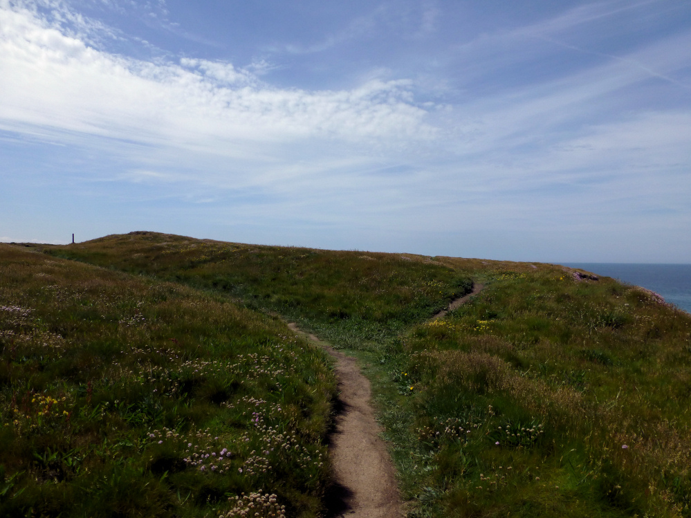 Image of Winecove Point (Cliff Fort) by thesweetcheat
