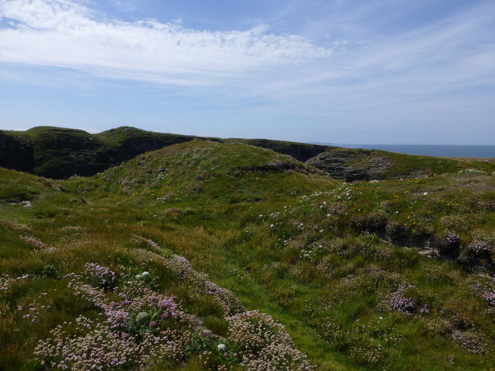 Image of Winecove Point (Cliff Fort) by thesweetcheat