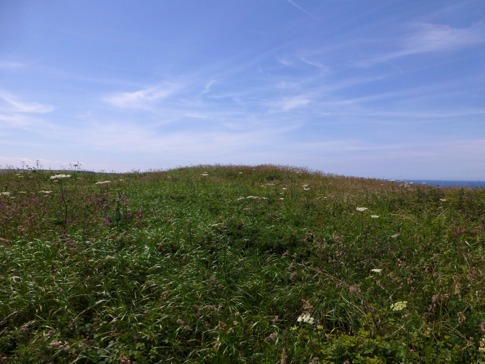 Image of Rowan Cove (Round Barrow(s)) by thesweetcheat