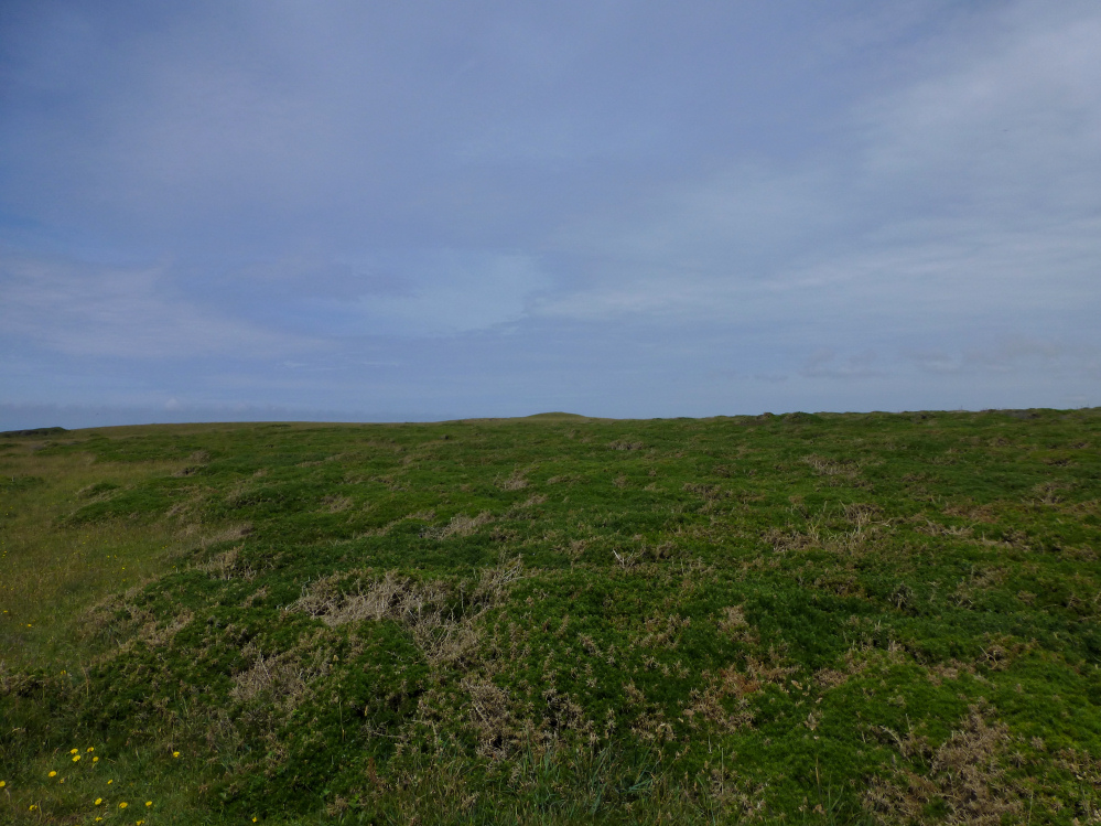 Image of Park Head cemetery (Barrow / Cairn Cemetery) by thesweetcheat