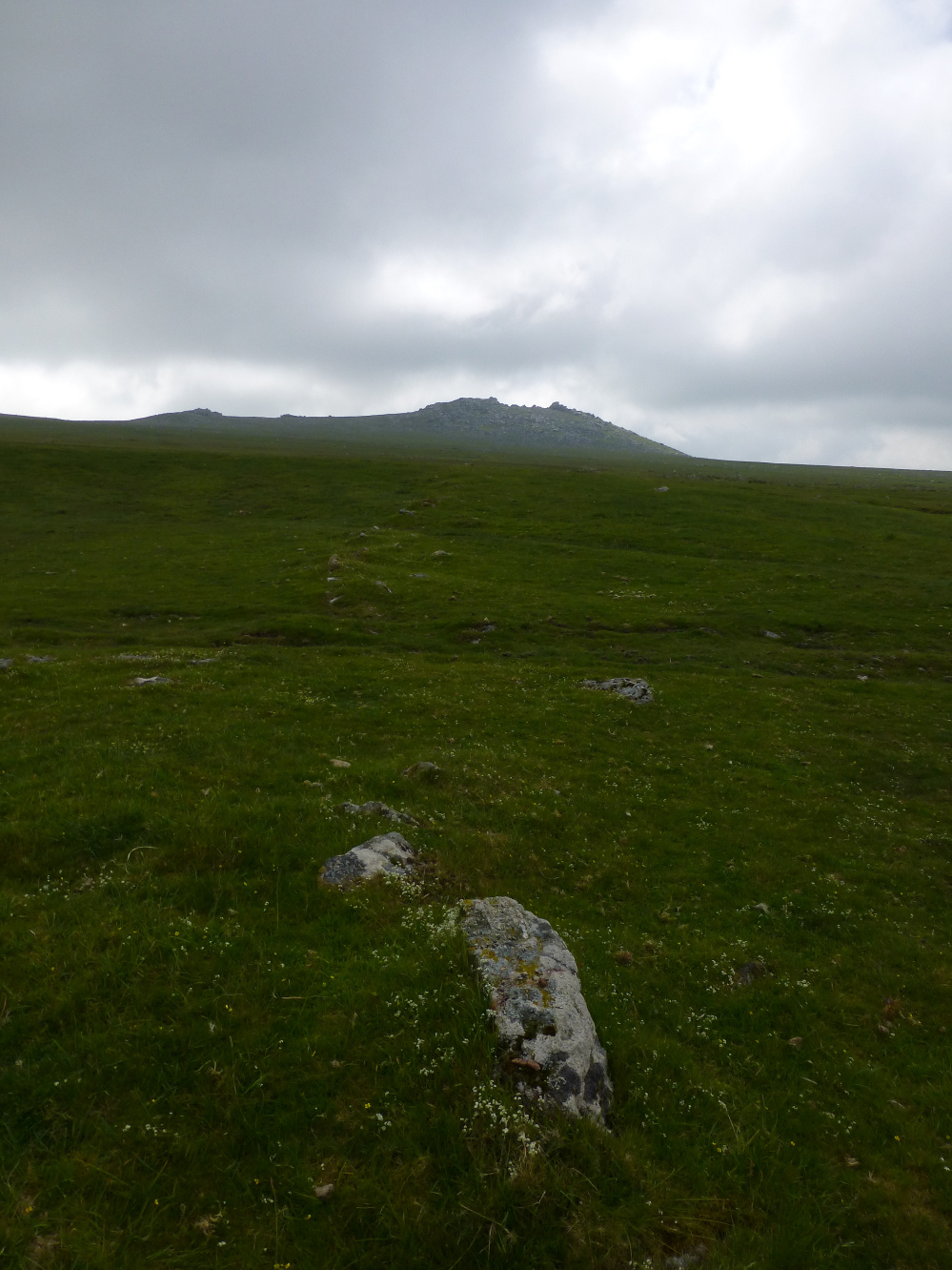 Image of Roughtor NW cemetery (Barrow / Cairn Cemetery) by thesweetcheat