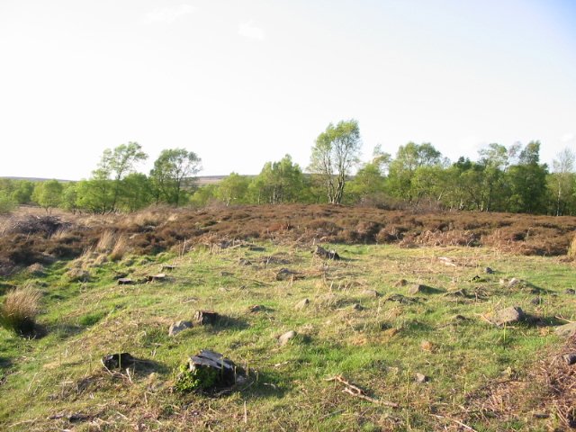 Image of Barbrook IV (Ring Cairn) by stubob