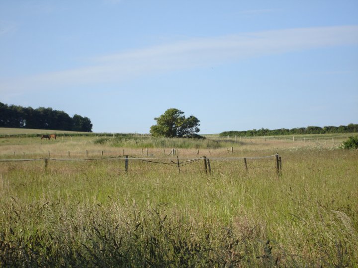 Image of Manton Round Barrow (Round Barrow) by Chance