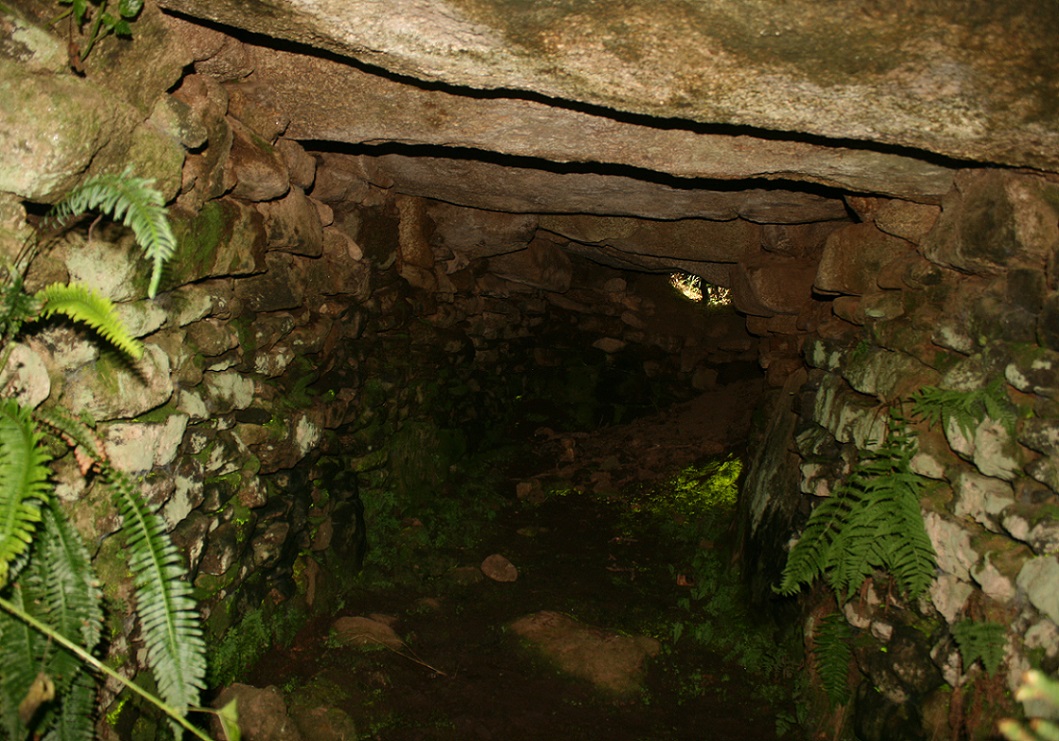 Image of Trewardreva Fogou by postman