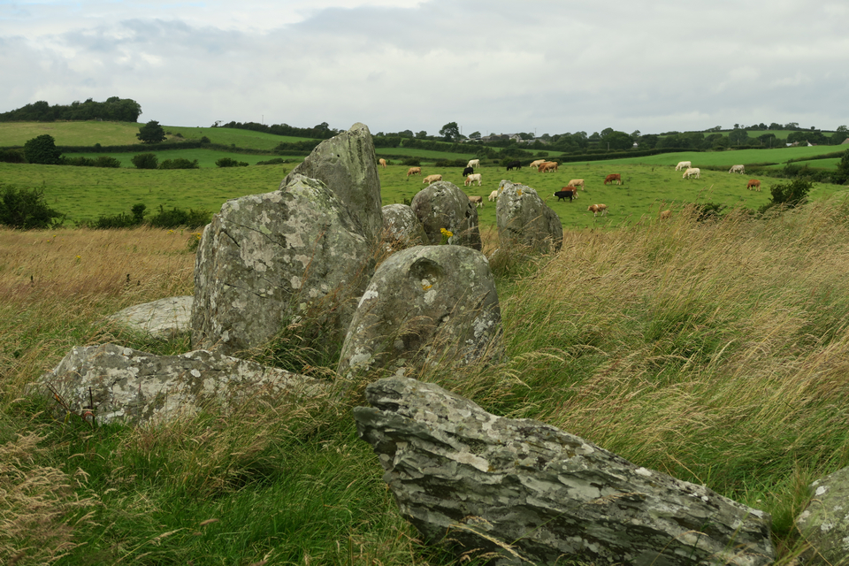 Image of Ballynoe (Stone Circle) by thelonious