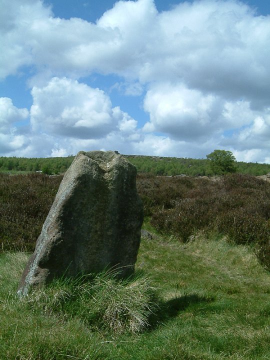 Image of Lawrence Field (Stone Circle) by stubob