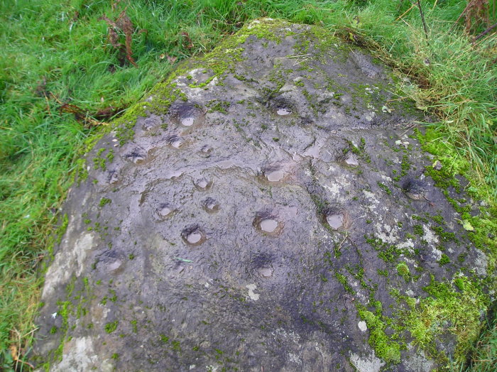 Image of Lundin (Cup Marked Stone) by tiompan