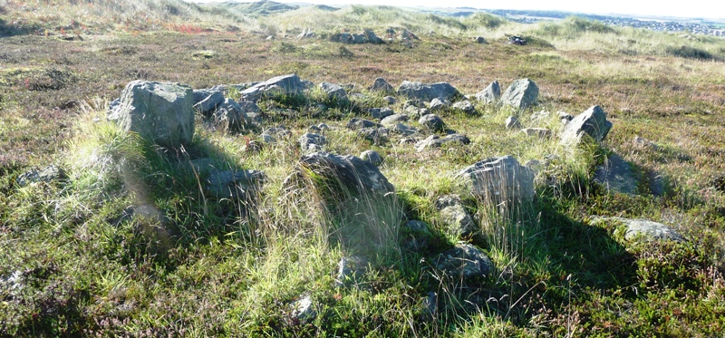 Image of Forvie Kerb Cairns (Kerbed Cairn) by drewbhoy