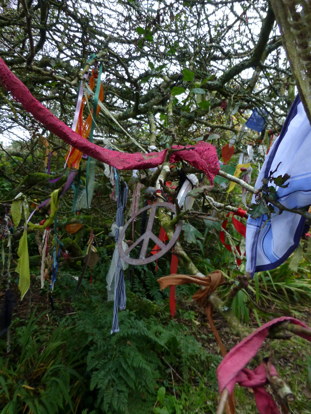 Image of Sancreed Holy Well (Sacred Well) by thesweetcheat