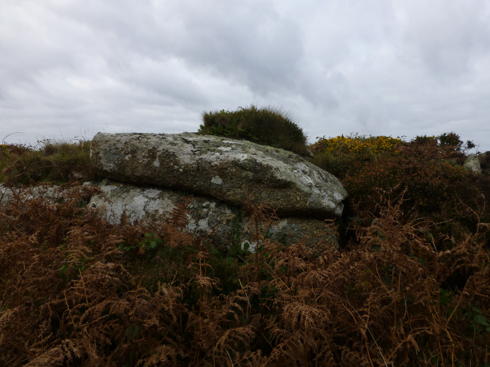 Image of Trendrine Hill (Round Barrow(s)) by thesweetcheat