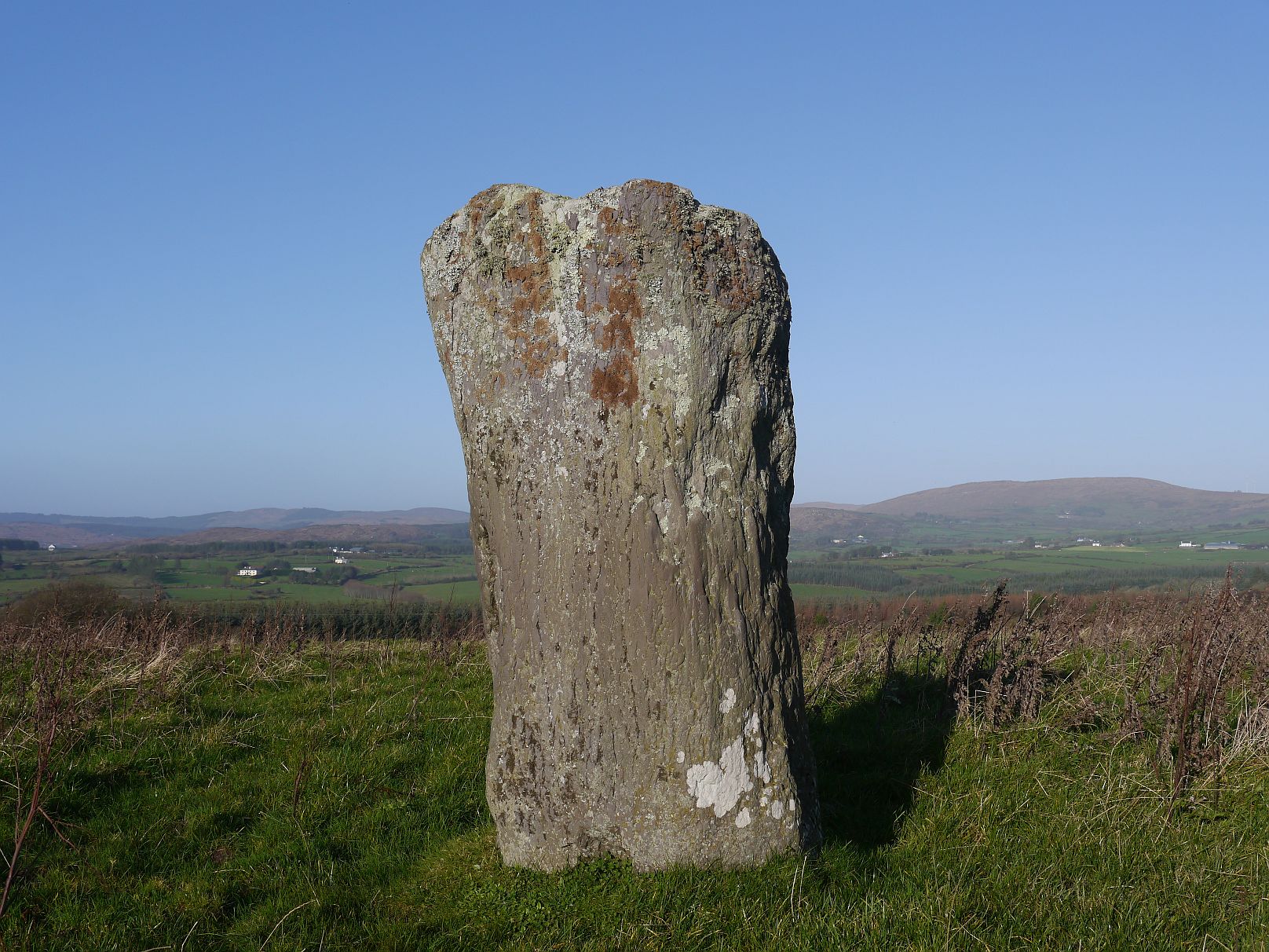 Image of Lyre (Standing Stone / Menhir) by Meic