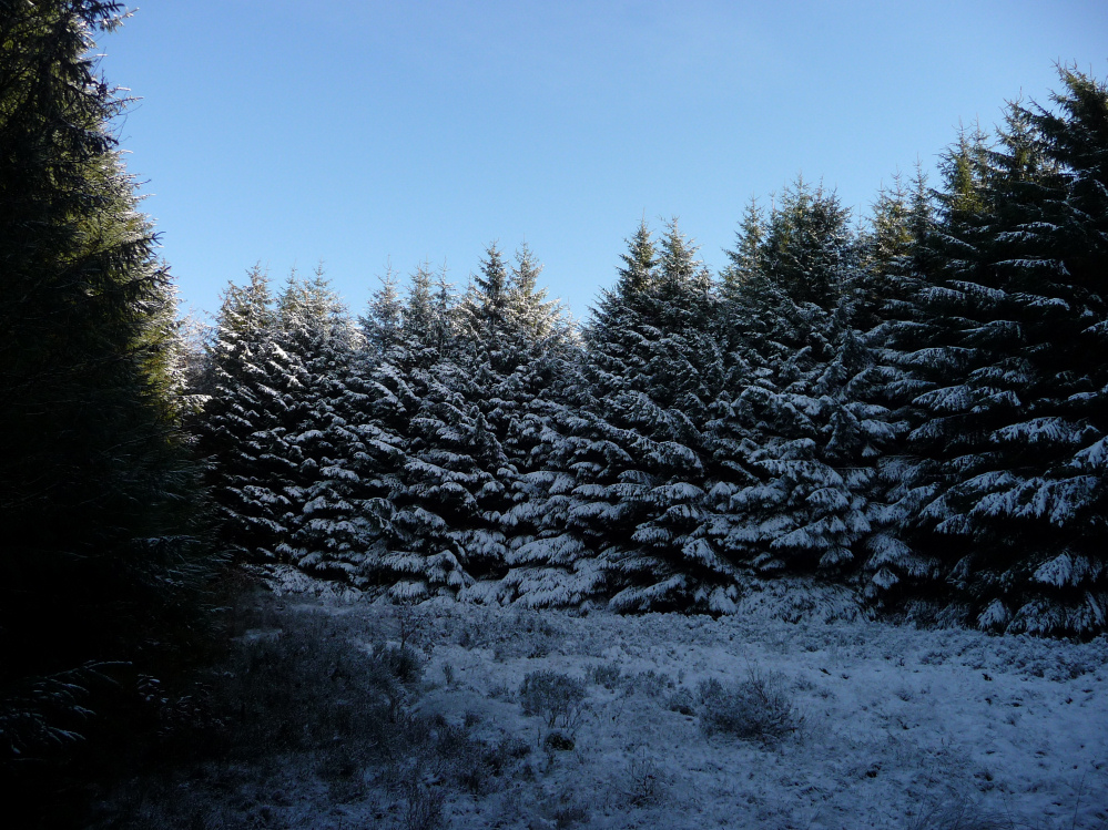 Image of Gwersyll (Hillfort) by thesweetcheat