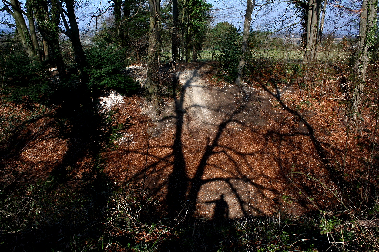 Image of Bury Hill (Hillfort) by GLADMAN