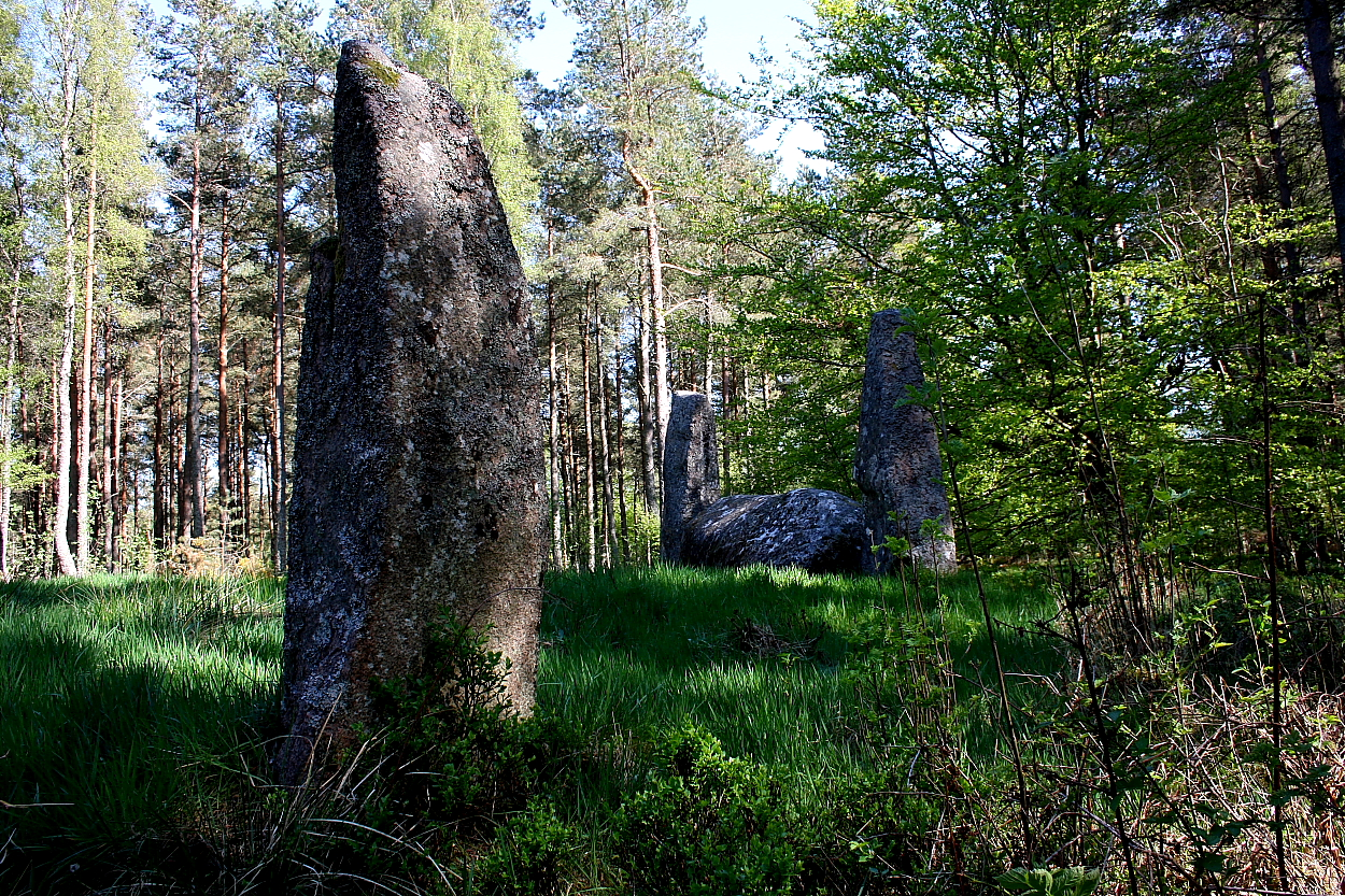 Image of Cothiemuir Wood (Stone Circle) by GLADMAN