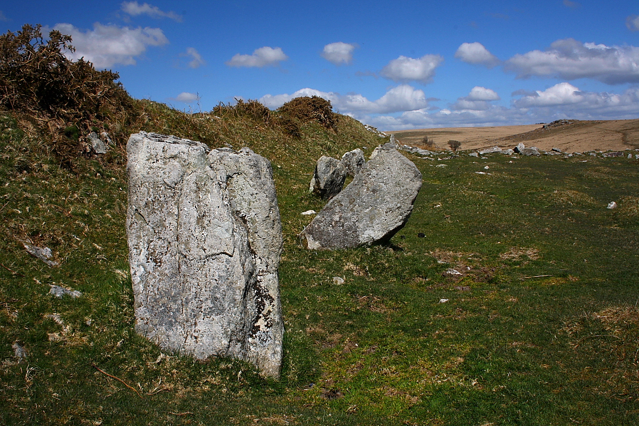 Image of Black Tor (Stone Row / Alignment) by GLADMAN