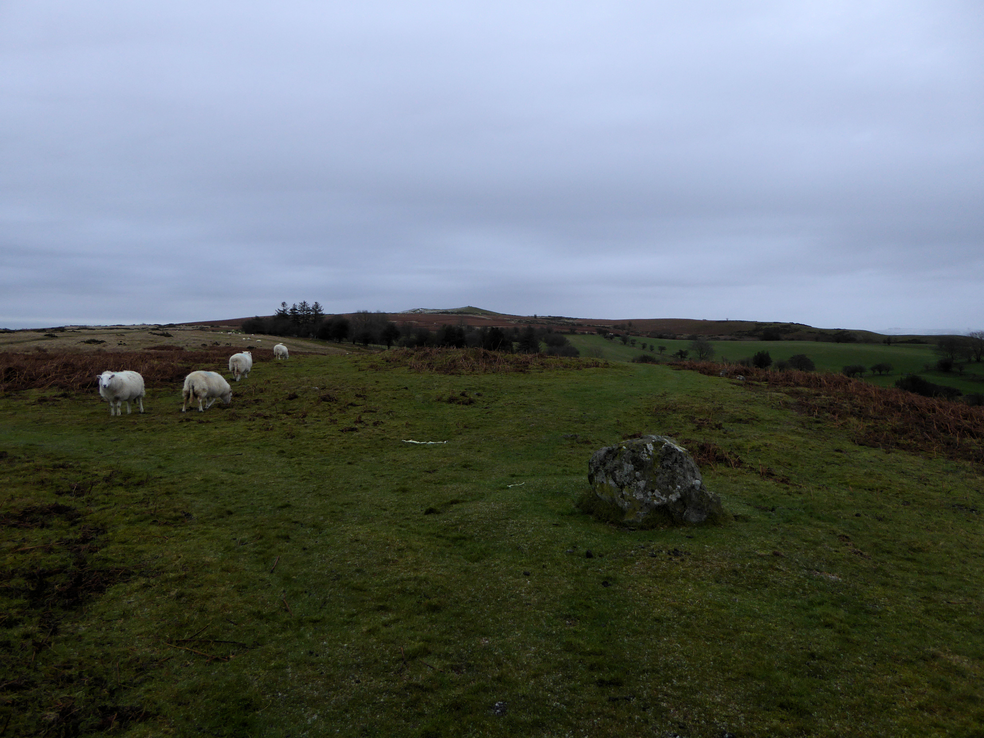 Image of Mitchell’s Fold cairn (Cairn(s)) by thesweetcheat