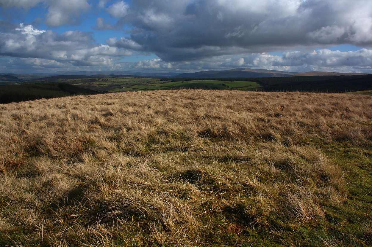 Image of Foel Darw, Y Mynydd Du (Round Cairn) by GLADMAN