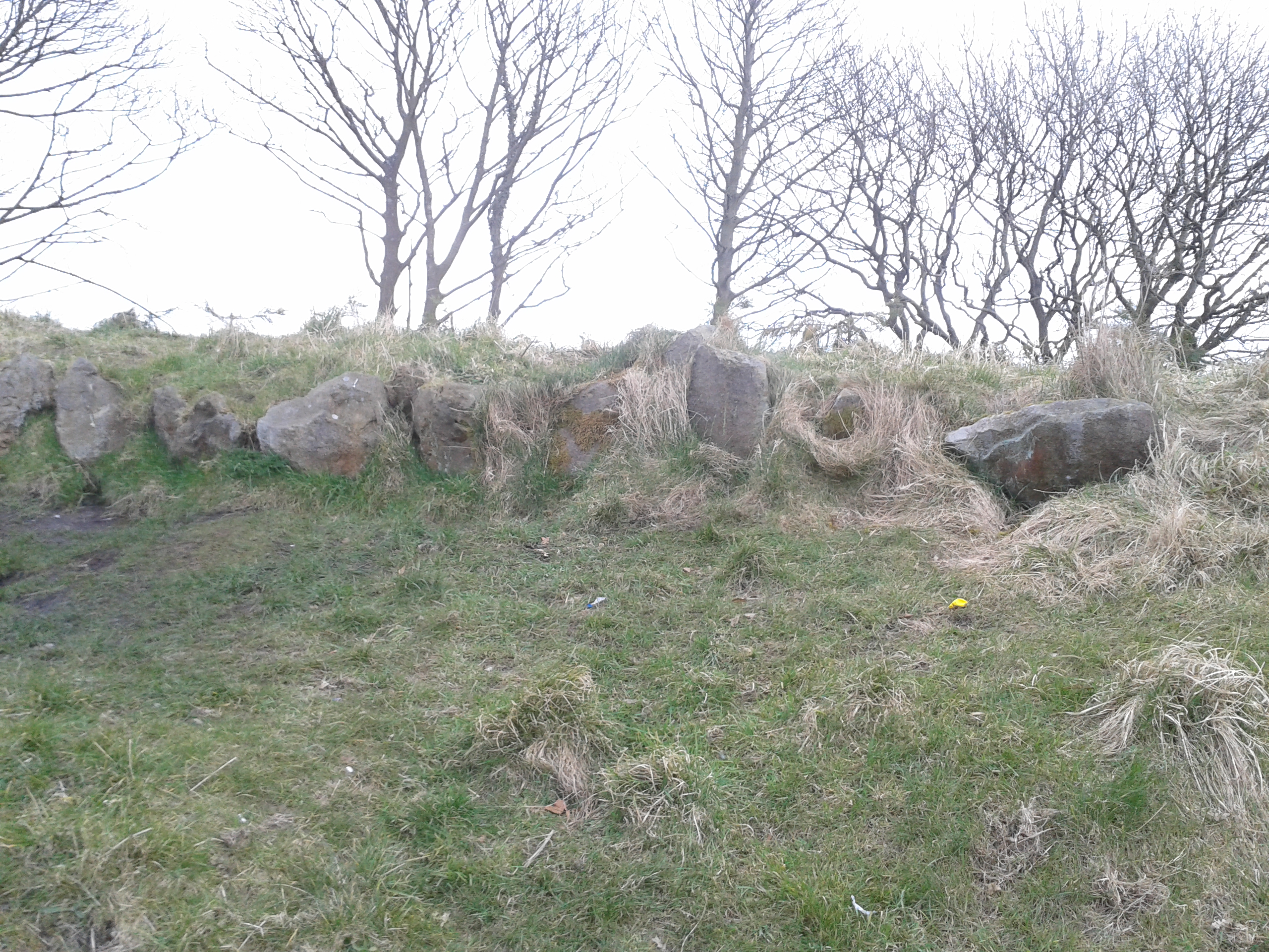 Image of Revidge (Round Barrow(s)) by carol27