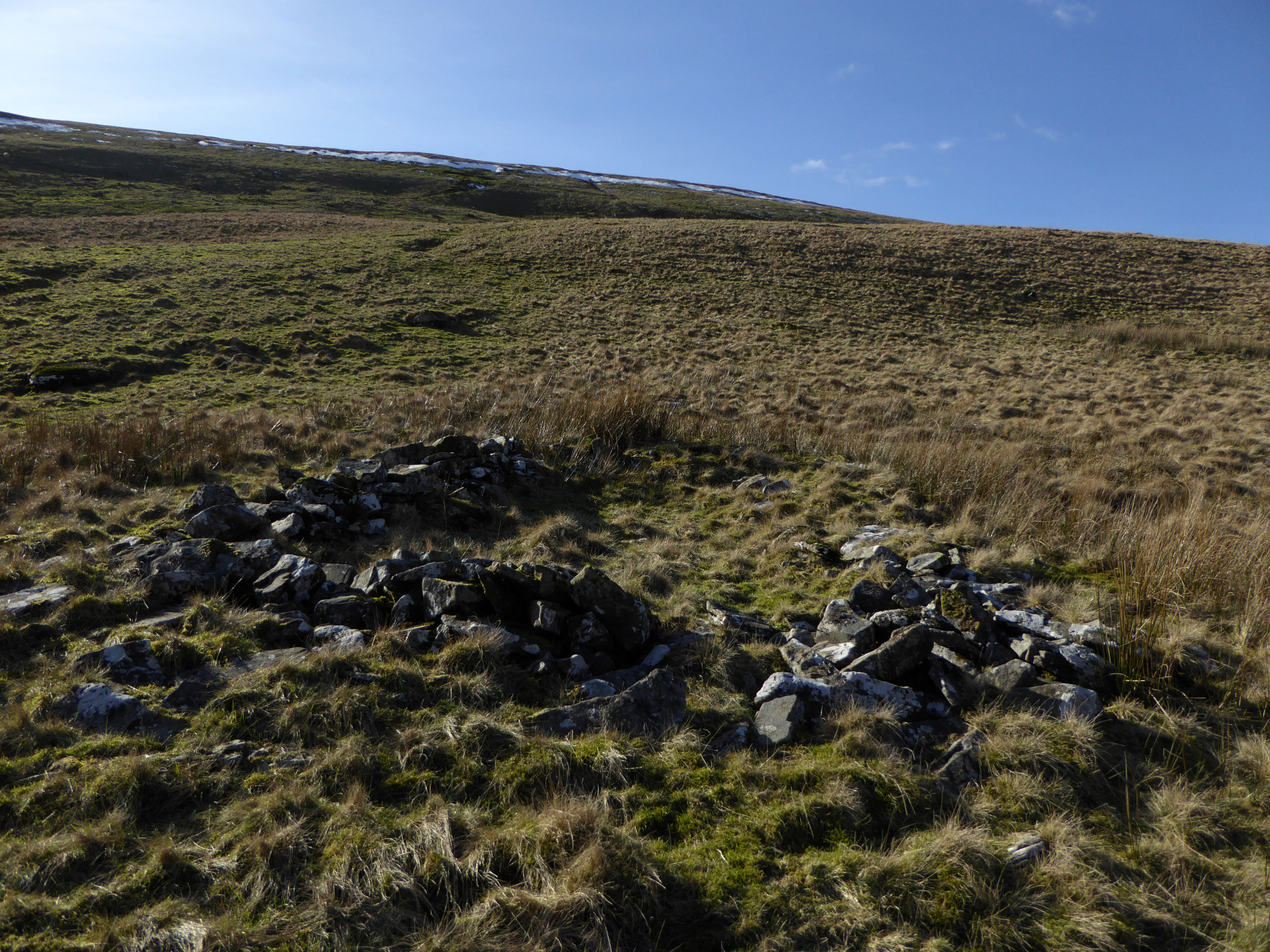 Image of Afon Tawe (Ancient Village / Settlement / Misc. Earthwork) by thesweetcheat