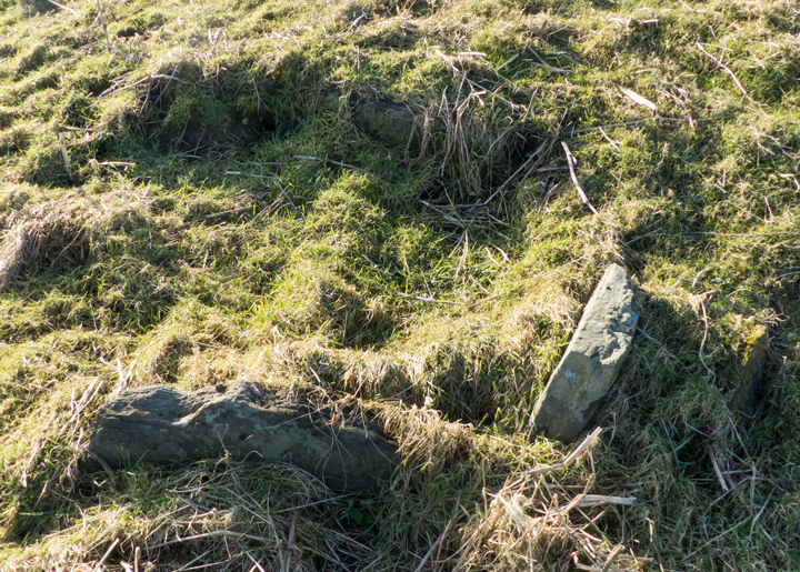 Image of Knowe of Grugar (Broch) by wideford