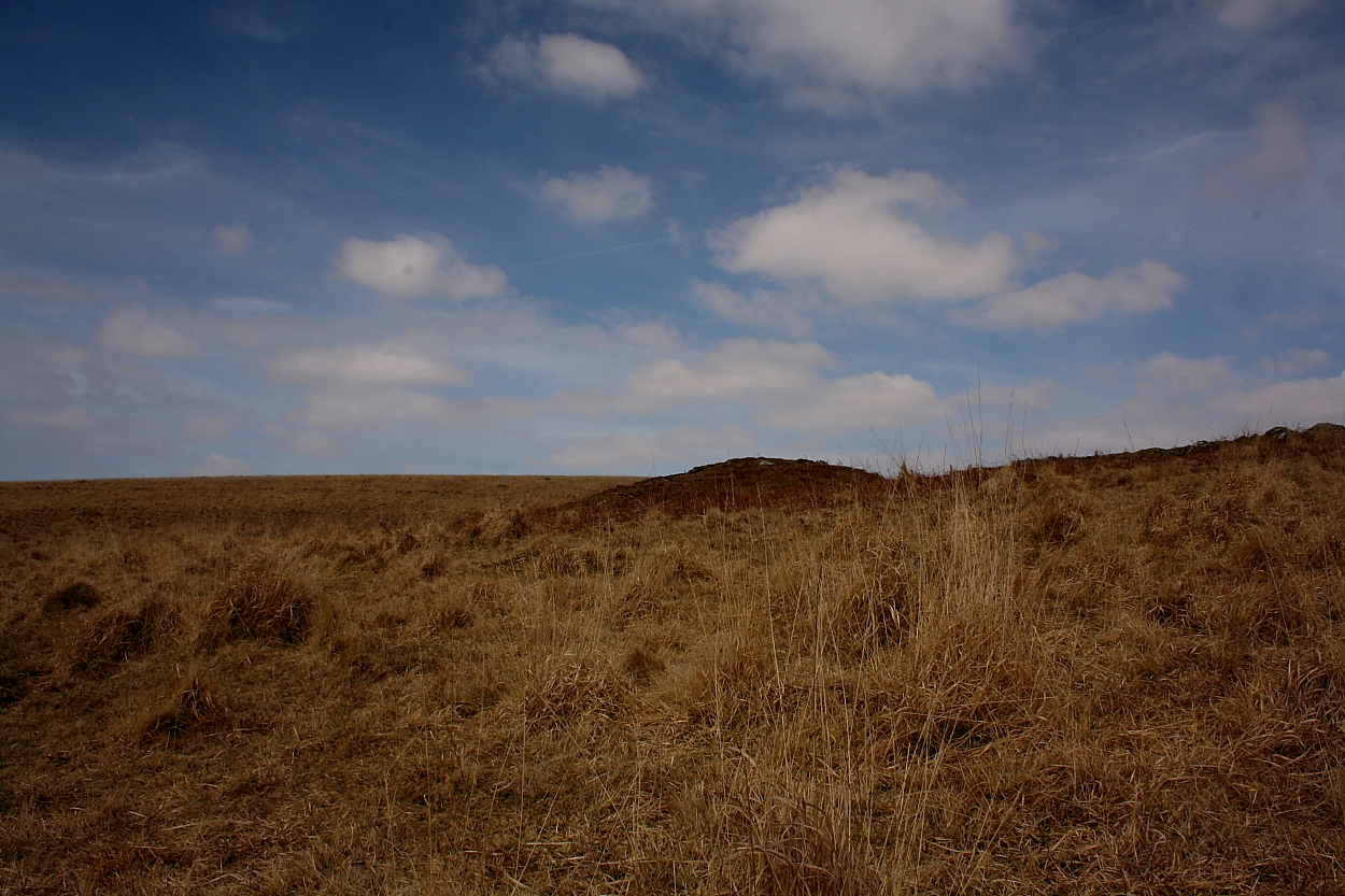 Image of Plym Steps Round Cairn by GLADMAN