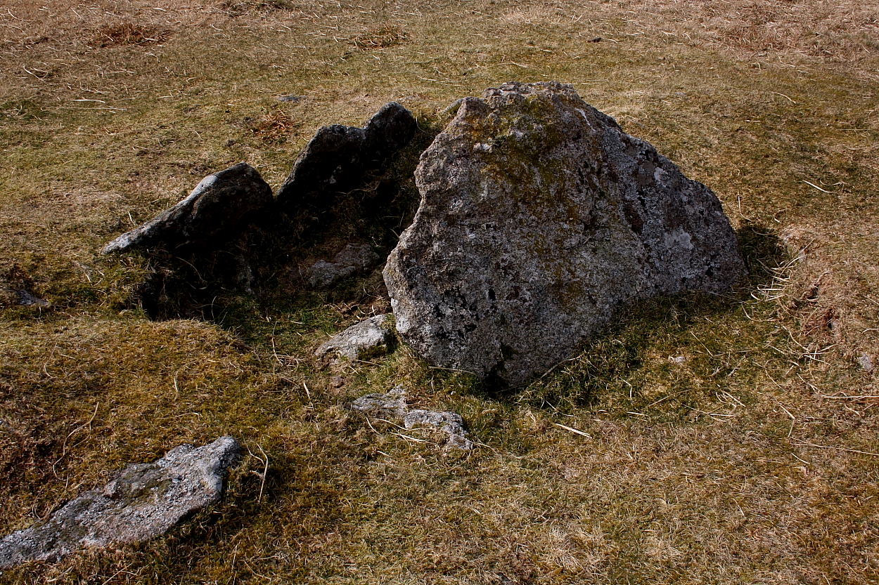 Image of Eylesbarrow South West (Cist) by GLADMAN