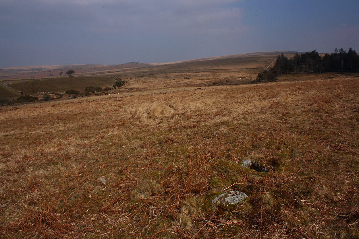 Image of Gutter Tor Cist by GLADMAN