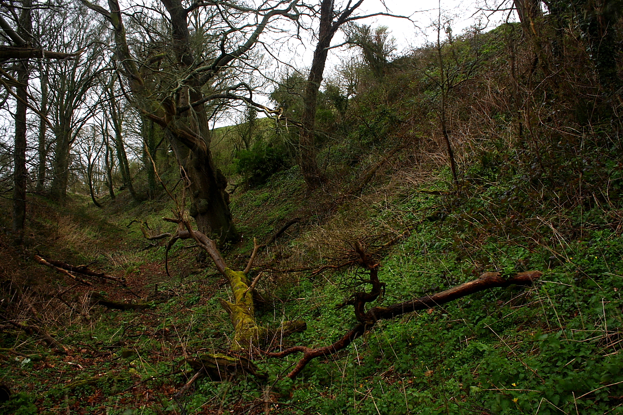 Image of Cadbury Castle (South Cadbury) (Hillfort) by GLADMAN