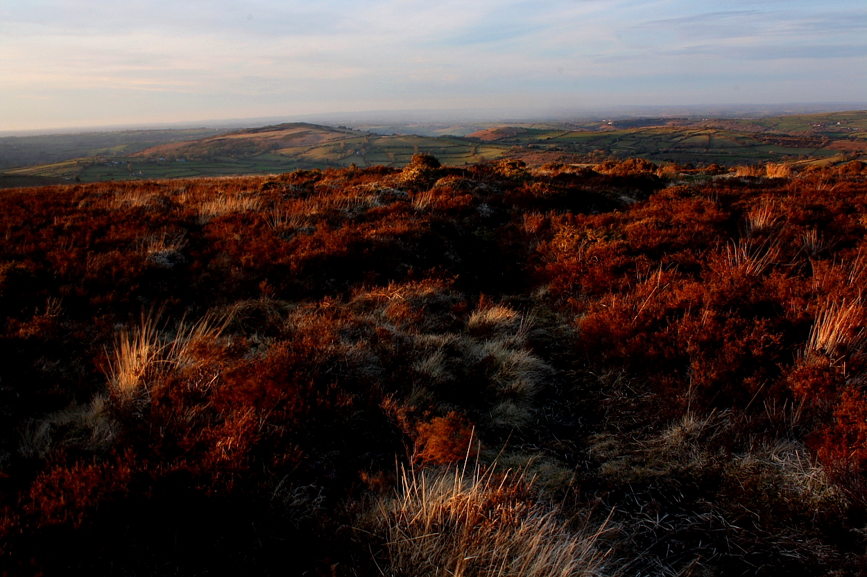 Image of Shapley Common (Platform Cairn) by GLADMAN