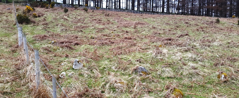 Image of Westerton (Ancient Village / Settlement / Misc. Earthwork) by drewbhoy