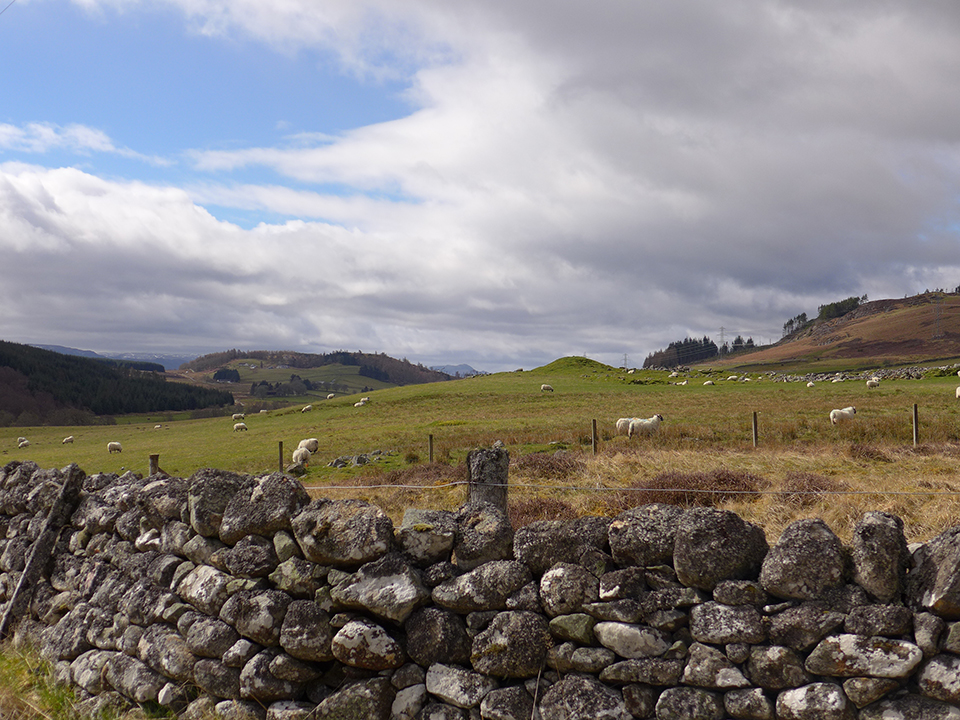 Image of Torness (Cairn(s)) by thelonious