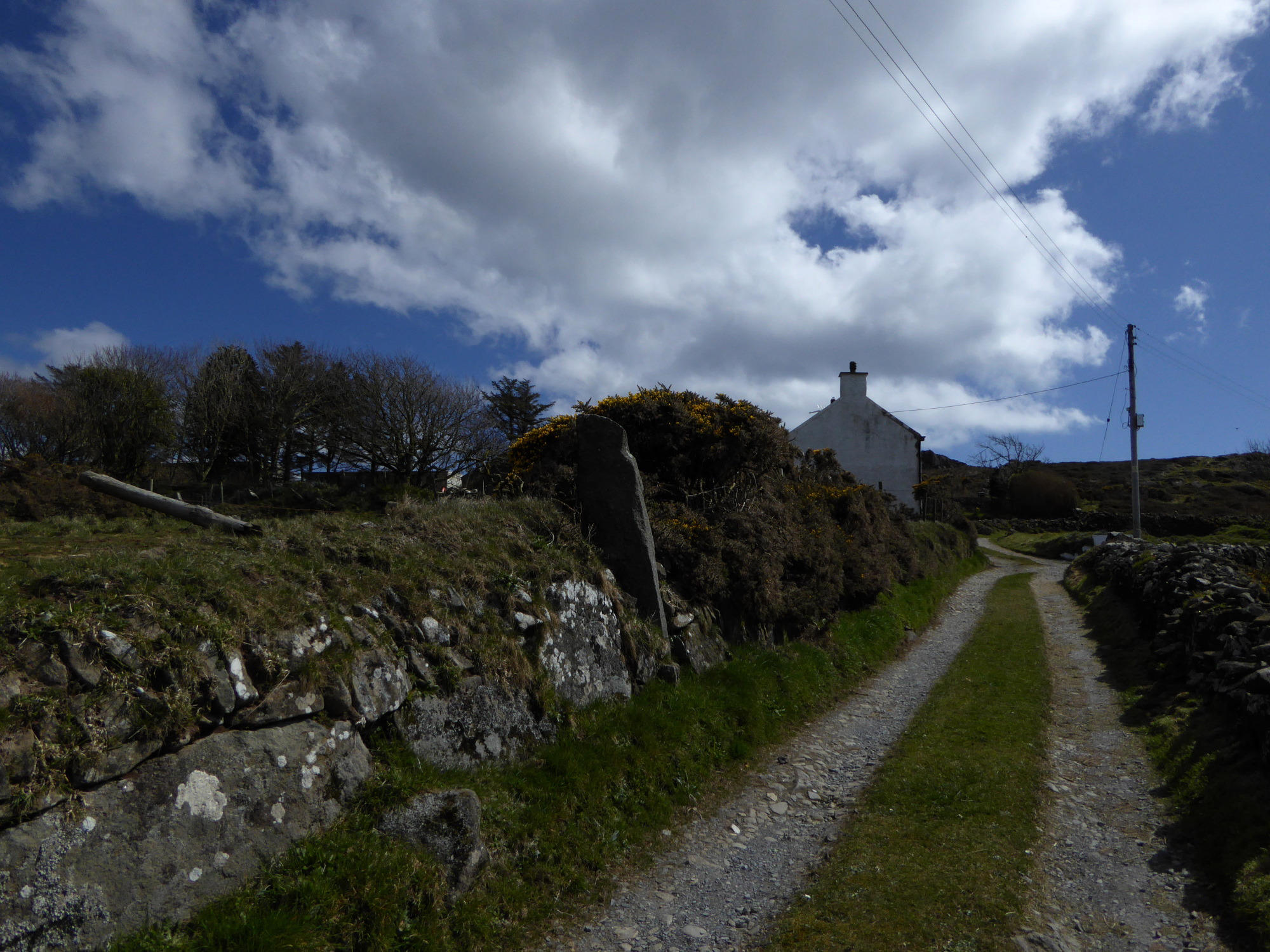 Image of Capel Tan-y-Foel (Standing Stone / Menhir) by thesweetcheat