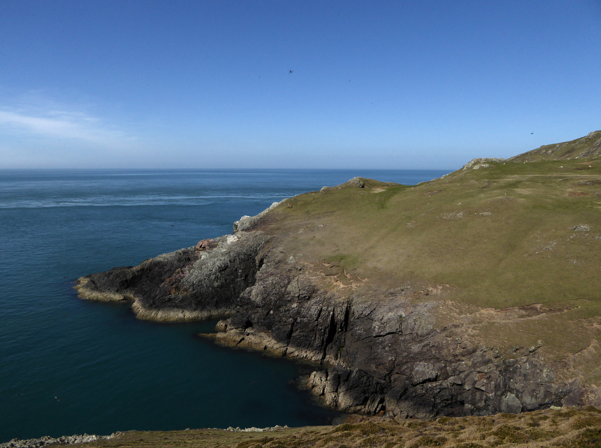 Image of Maen Melyn (Standing Stone / Menhir) by thesweetcheat