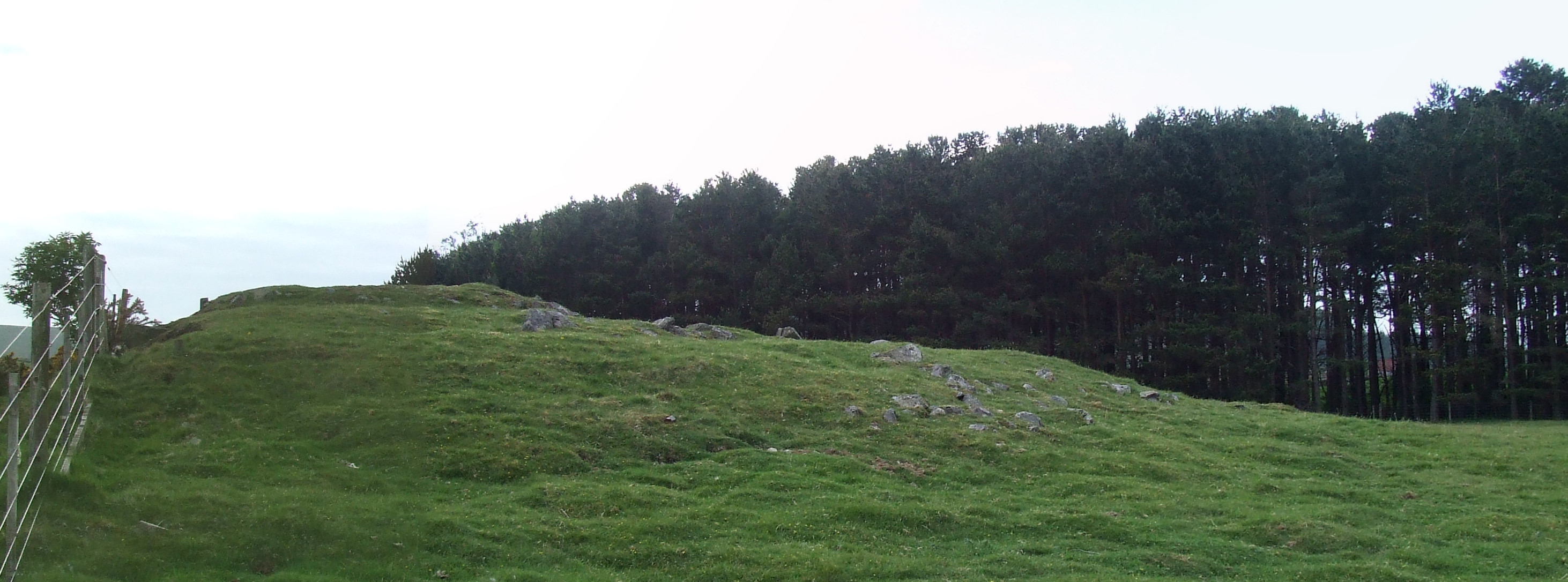 Image of Drumelzier (Cairn(s)) by Howburn Digger