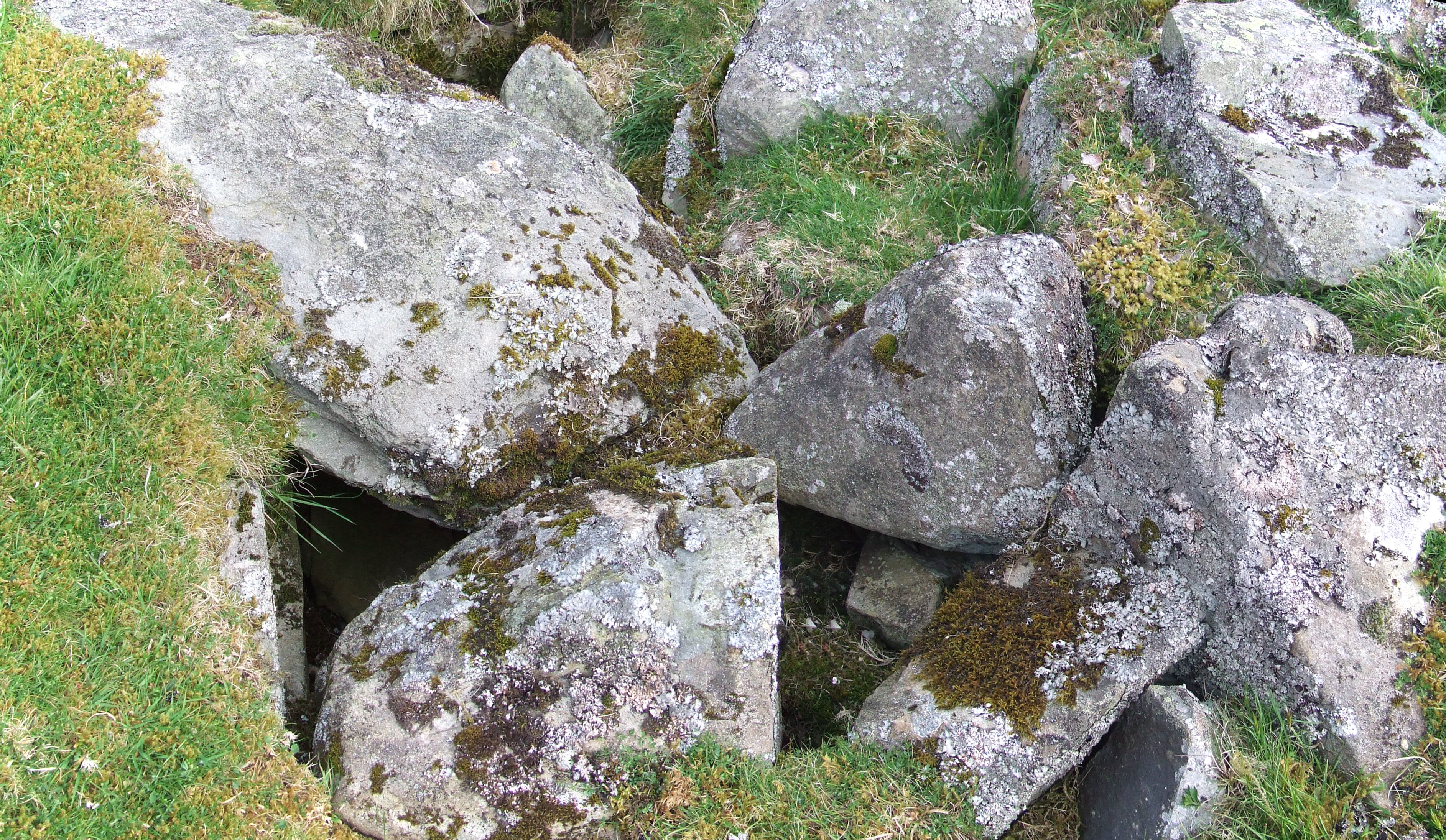 Image of Drumelzier (Cairn(s)) by Howburn Digger